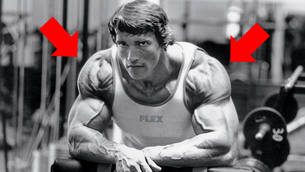 How Arnold Trained Shoulders