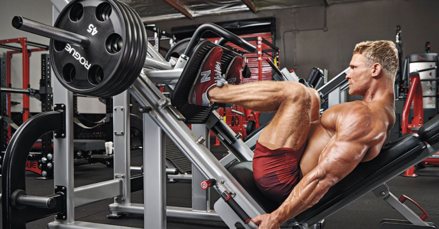 The Truth About the Leg Press - Untapped Supplement