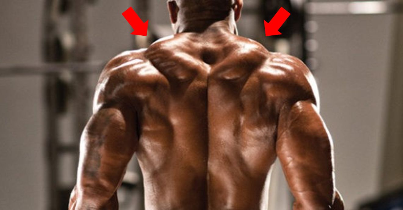 Try This for Bigger Traps